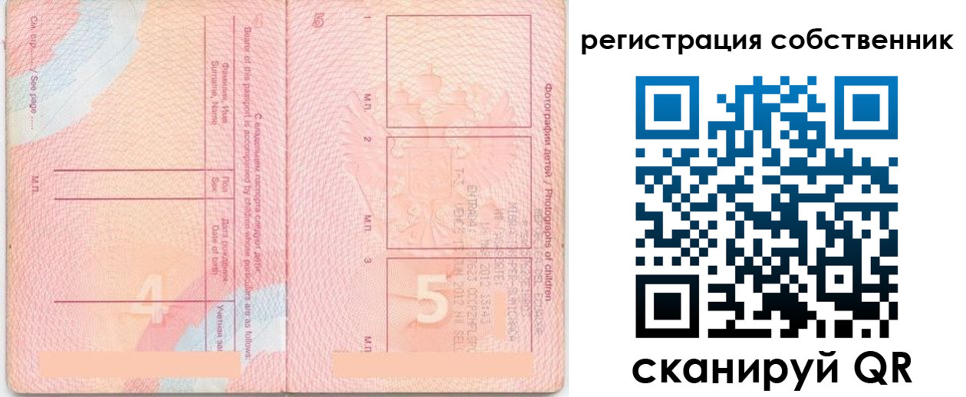 прописка ребенка в Барыше